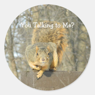 Pegatina Redonda Silly Squirrel