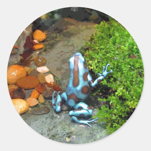 Pegatina Redonda Silvery Blue Dart Frog CB (Anverso)
