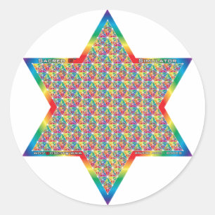 Pegatina Redonda Simulador