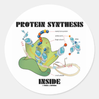 Pegatina Redonda Síntesis de proteína interna (biología celular)