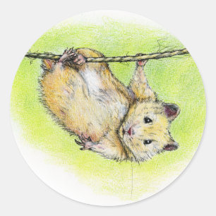 Pegatina Redonda Sir Ham