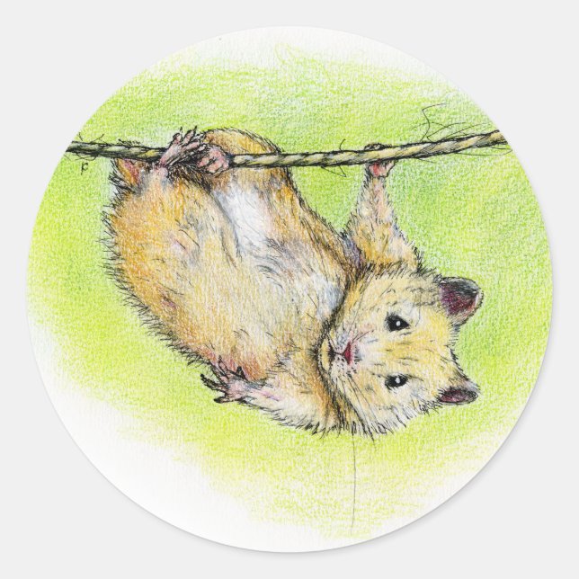 Pegatina Redonda Sir Ham (Anverso)