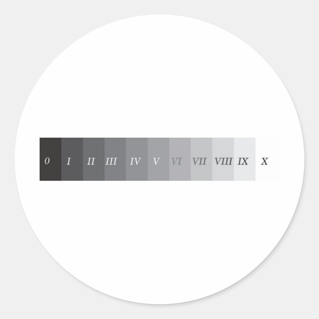 Pegatina Redonda Sistema de zona (Anverso)