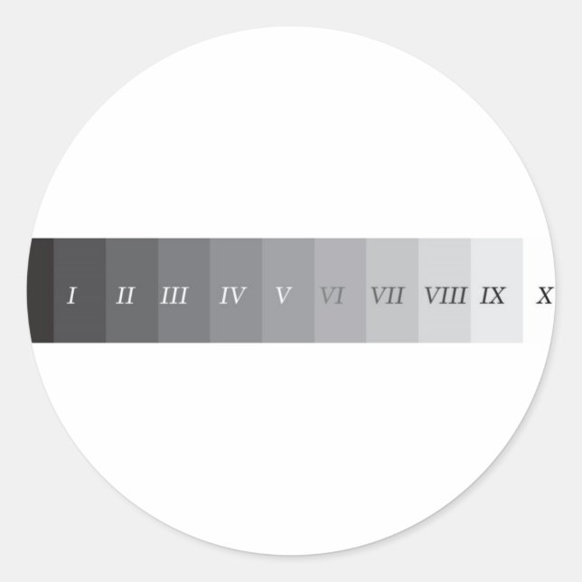 Pegatina Redonda Sistema de zona (Anverso)