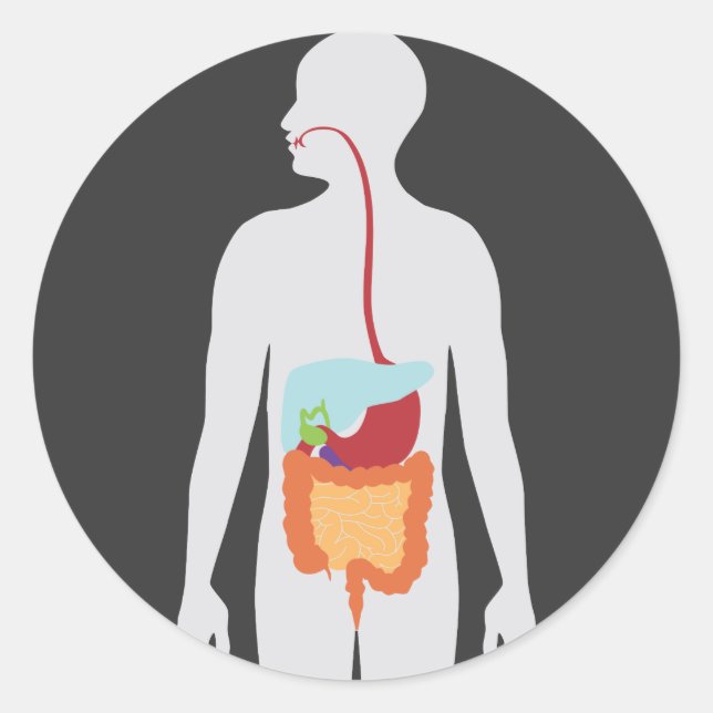 Pegatina Redonda Sistema digestivo (Anverso)