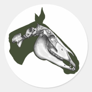 Pegatina Redonda Skeleton
