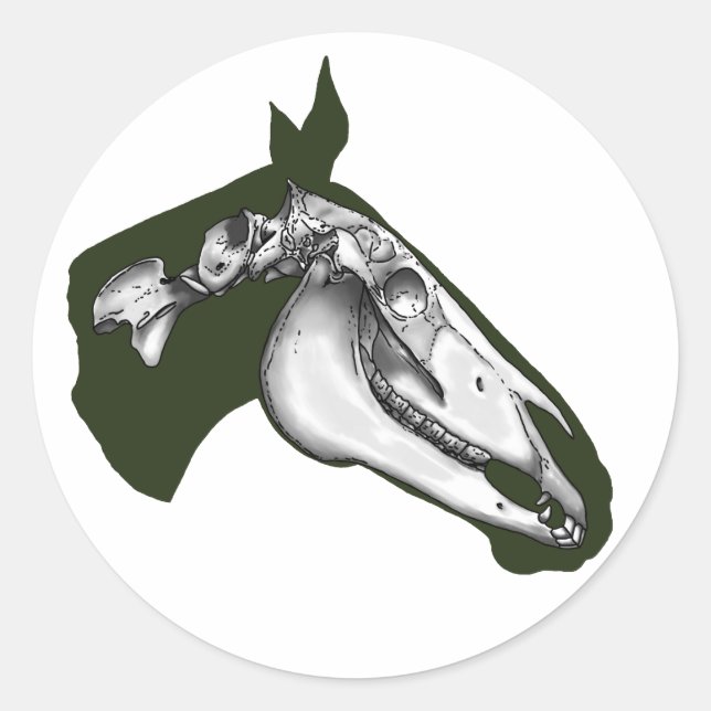 Pegatina Redonda Skeleton (Anverso)