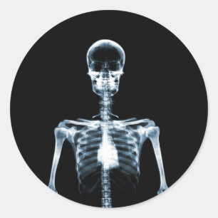 Pegatina Redonda Skeleton individual azul de visión de rayos X