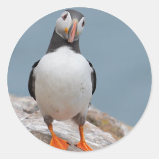 Pegatina Redonda Skomer Island Puffins