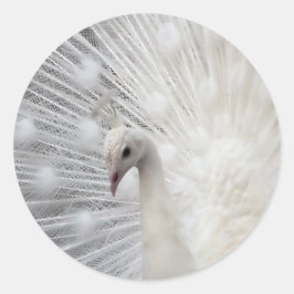 Pegatina Redonda Skully Top Fun