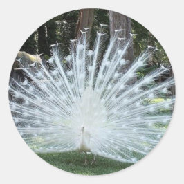 Pegatina Redonda Skully Top Fun