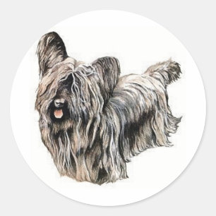 Pegatina Redonda Skye Terrier