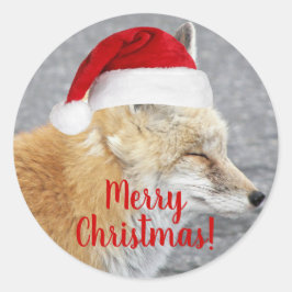Pegatina Redonda Sleepe Red Fox con vacaciones de Red Santa Hat