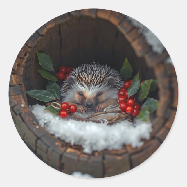 Pegatina Redonda Sleeping hedgehog Christmas fun (Anverso)