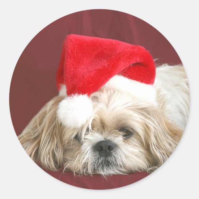 Pegatina Redonda Sleepy Navidades Shih Tzu (Anverso)