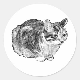 Pegatina Redonda Sly Loaf, Charm Dotado