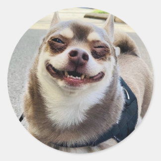 Pegatina Redonda Smile Big Huey