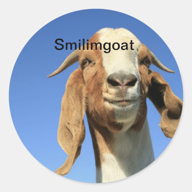 Pegatina Redonda Smilingoat (Anverso)