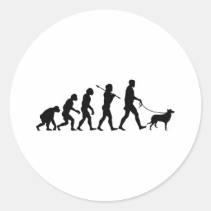 Pegatina Redonda Smooth Collie