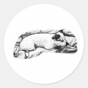 Pegatina Redonda Snoozer de ojos laterales con encanto punteado