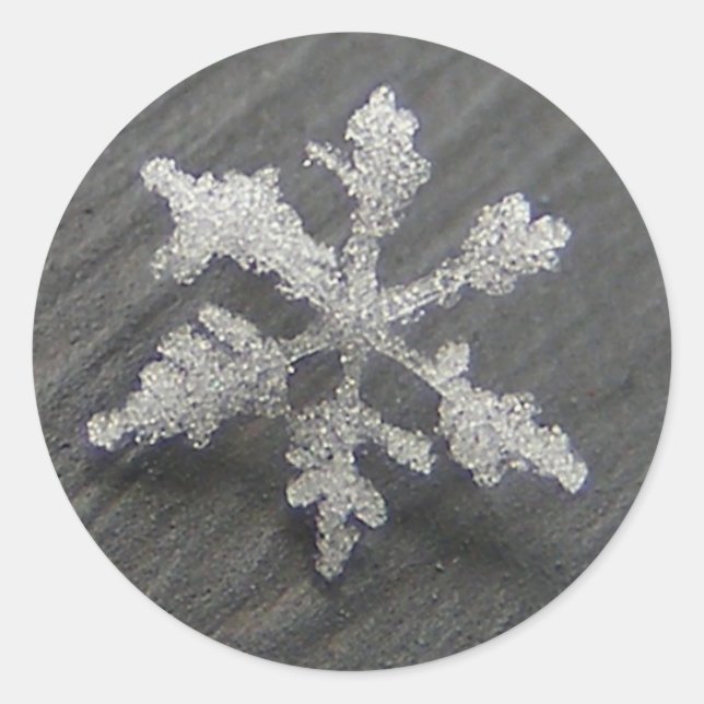 Pegatina Redonda Snow Flake 44 ~ pegatinas (Anverso)