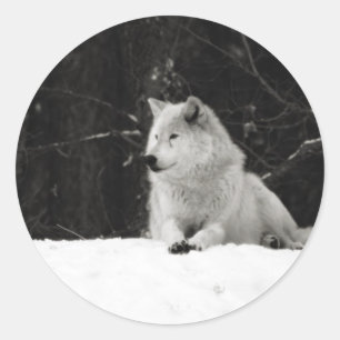 Pegatina Redonda Snow Wolf