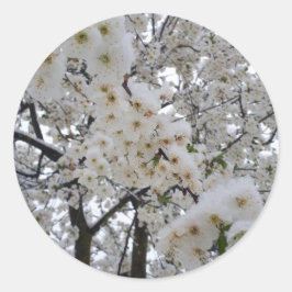 Pegatina Redonda Snowy Blossom Sticker