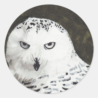 Pegatina Redonda Snowy Owl