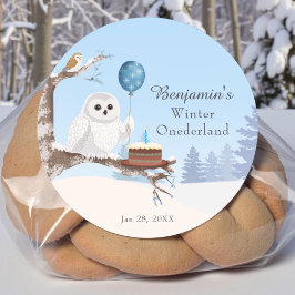 Pegatina Redonda Snowy Owl Winter Onederland Birthday 