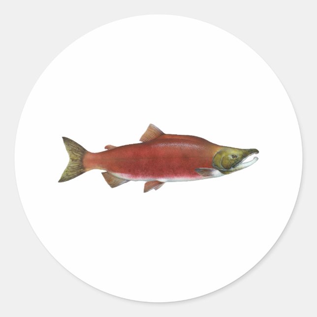 Pegatina Redonda Sockeye Salmon (Anverso)