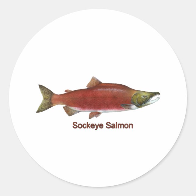 Pegatina Redonda Sockeye - Salmón Rojo (con título) (Anverso)