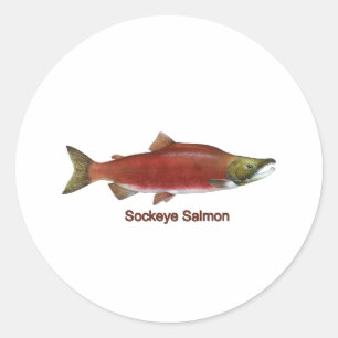 Pegatina Redonda Sockeye - Salmón Rojo (con título)