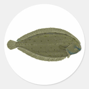 Pegatina Redonda Sole