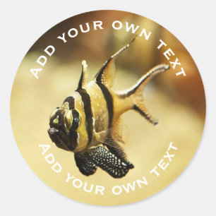 Pegatina Redonda Solitario Stripy Angelfish Subacuático Personaliza