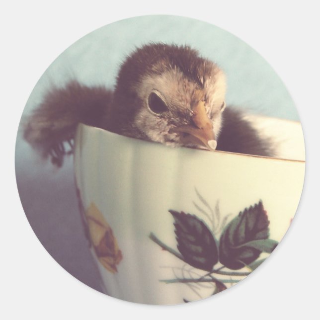 Pegatina Redonda Solo Chillin' (Anverso)