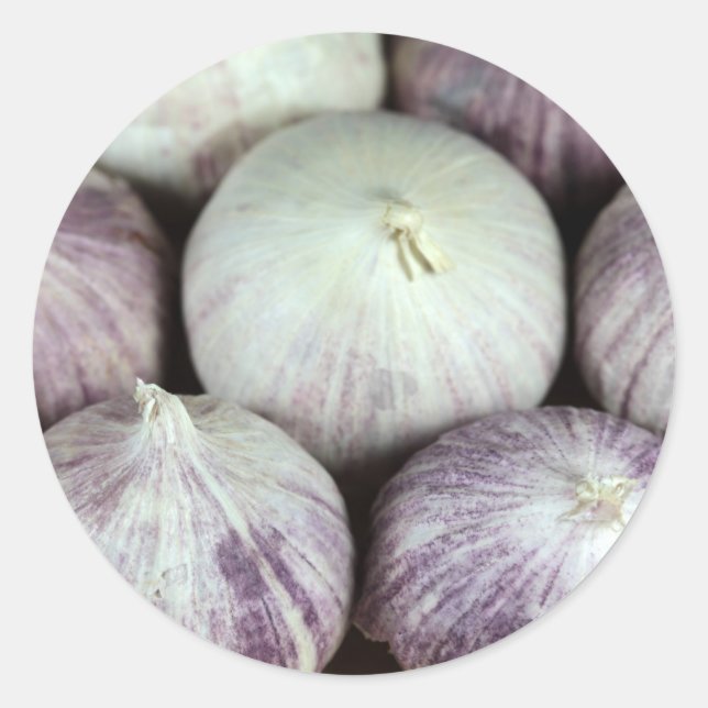 Pegatina Redonda Solo Garlic (Anverso)