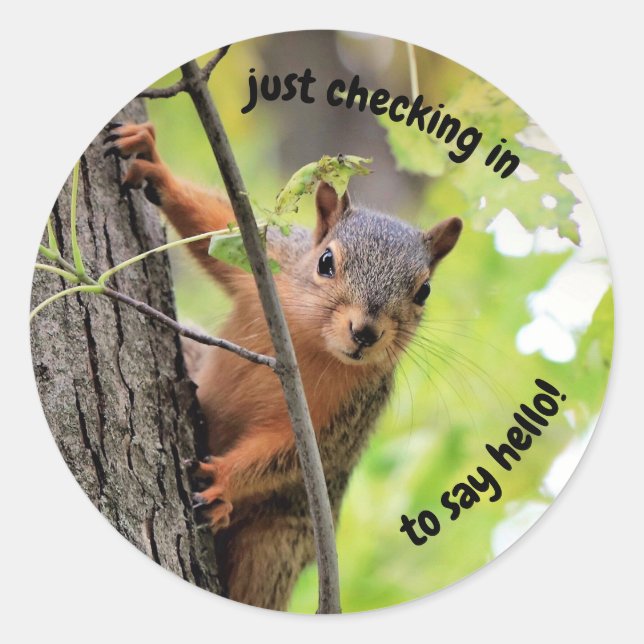 Pegatina Redonda Sólo protección de Pegatinas (Anverso)