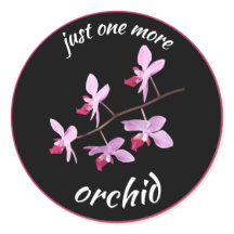 Sólo una orquídea más