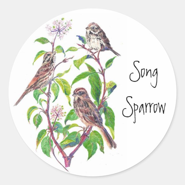 Pegatina Redonda Song Sparrows (Anverso)