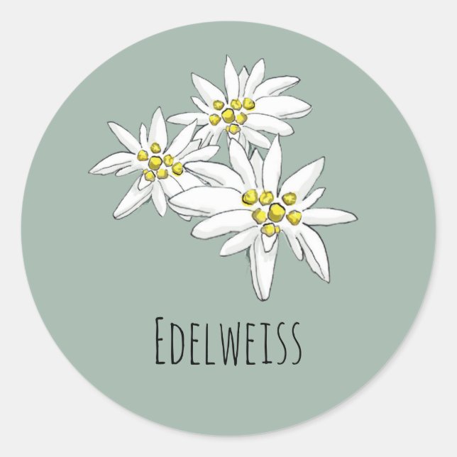 Pegatina Redonda Sonido musical Edelweiss Sage Floral alpina verde (Anverso)