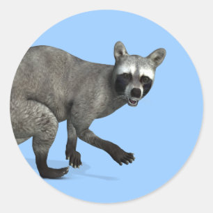 Pegatina Redonda Sorprendido Raccoon