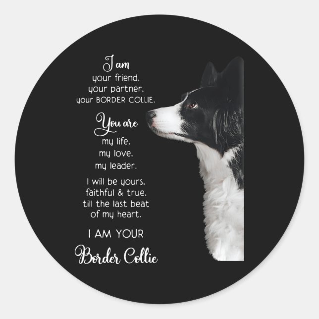Pegatina Redonda Soy Tu Amigo Tu Pner Tu Collie Fronterizo (Anverso)