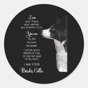 Pegatina Redonda Soy Tu Amigo Tu Pner Tu Collie Fronterizo