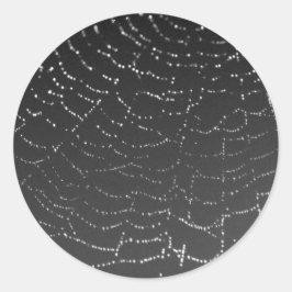 Pegatina Redonda Sparkling Spiderweb