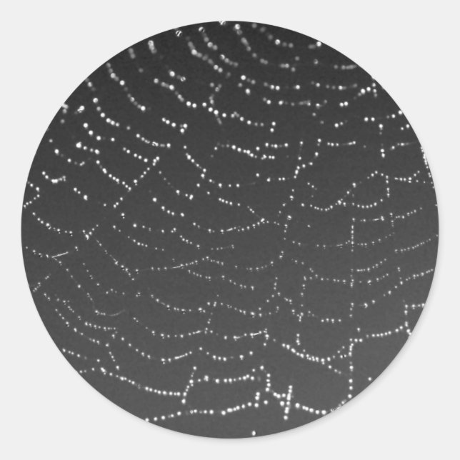 Pegatina Redonda Sparkling Spiderweb (Anverso)