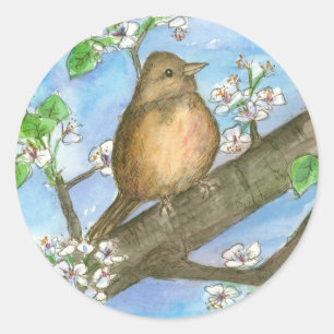 Pegatina Redonda Sparrow Bird Fruit Tree Watercolour Willife Art