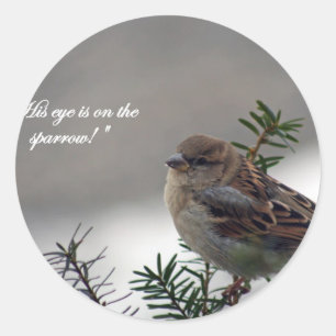 Pegatina Redonda Sparrow, ¡Su ojo está en el Sparrow!