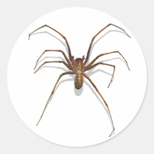 Pegatina Redonda Spider