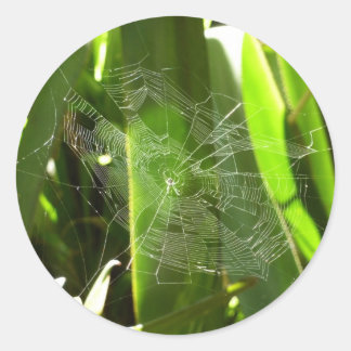 Pegatina Redonda Spiderweb en la naturaleza de las hojas tropicales