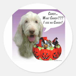 Pegatina Redonda Spinone Italiano Halloween Candy
